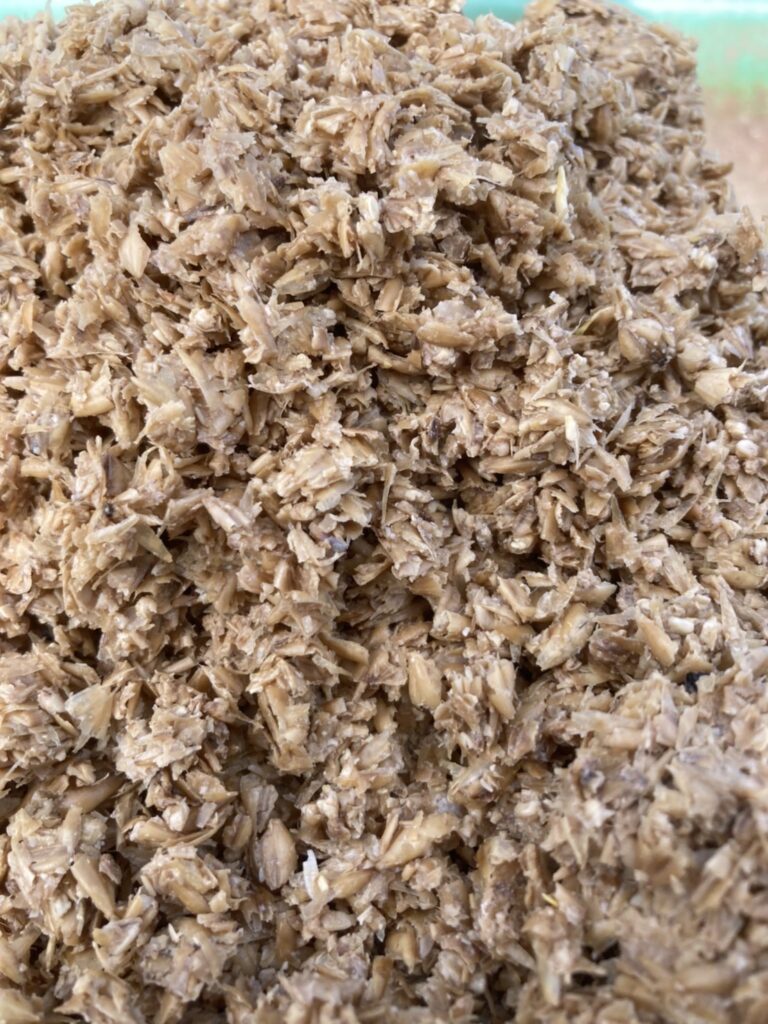 乳酸発酵させたビール粕