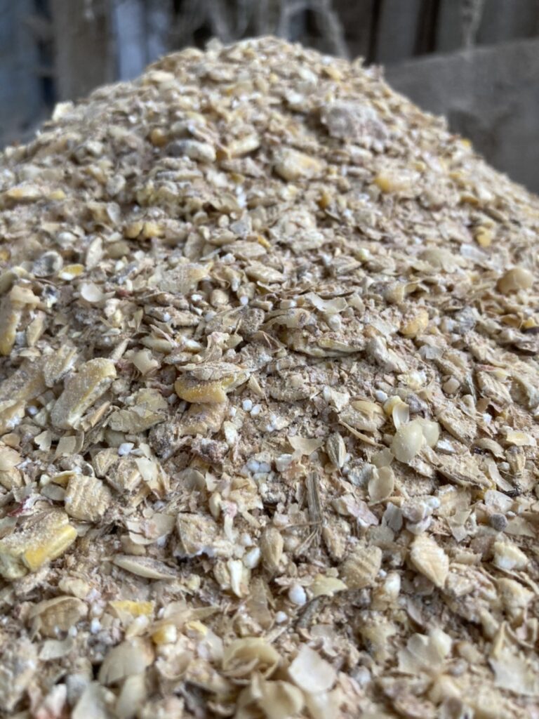 配合飼料（２）